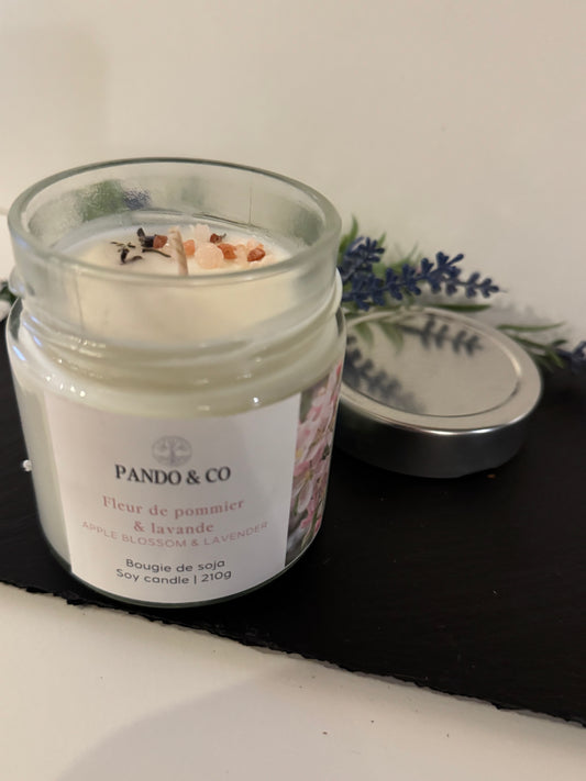 Bougie | fleur de pommier & lavande